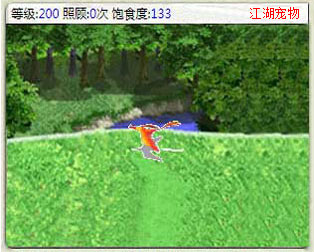 宠物喂养