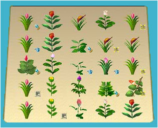花园种花