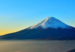海棠朵朵的江湖游戏